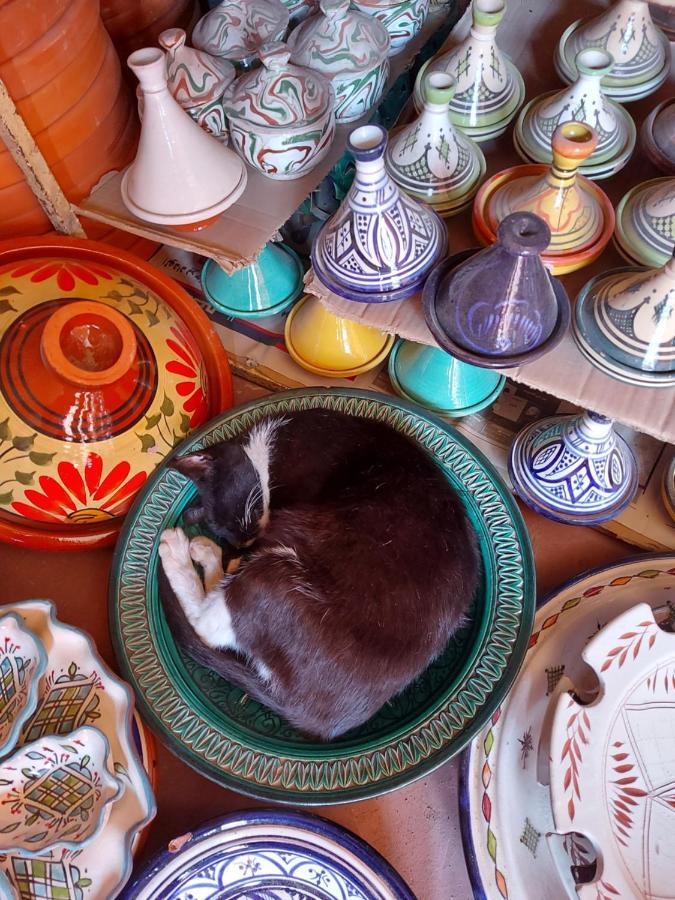 Riad Dar Karam マラケシュ エクステリア 写真
